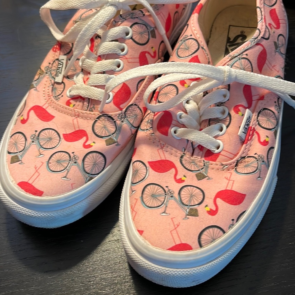 Vans bicycle flamingo print